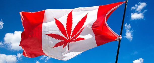 Canada’s Top Pharmacy Chain Prepares To Sell Medical Marijuana