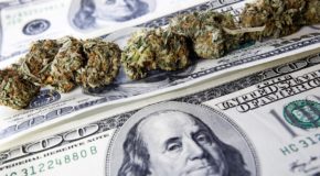 More States Legalizing Pot Could Force Feds To Do Something About Bank Access