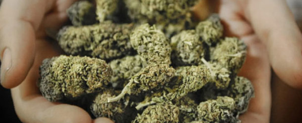 Maine and Massachusetts May Catch Up with Marijuana Friendly West Coast States