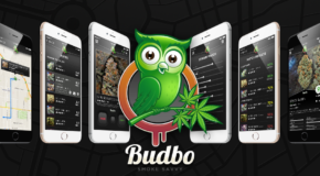 Tinder-Style Marijuana App Finds Ideal Strains