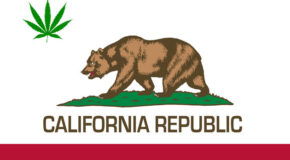California & Massachusetts Just Legalized Recreational Cannabis
