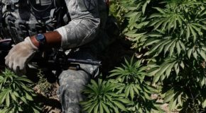 Minnesota OK’s Using Medical Marijuana For PTSD