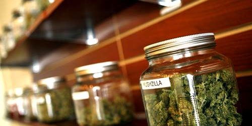 Dispensary Employees Often Recommend Wrong Strain of Marijuana
