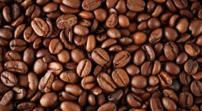 Elev8 Brands, Inc. Launches Revolutionary Hemp Coffee Brand