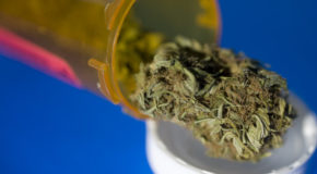 West Virginia Senate Approves Medical Marijuana Legislation