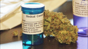 Floridians Are Very Upset with State Legislators for Delaying Medical Marijuana Rules
