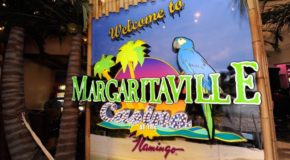 Marijuanaville Trademark Denied for Similarities to Margaritaville, a ‘State of Mind Inspired by Margaritas’