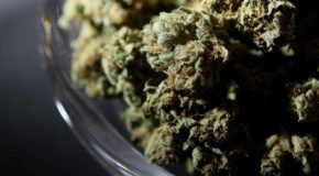 North Dakota Lawmakers Approve Medical Marijuana Regulations