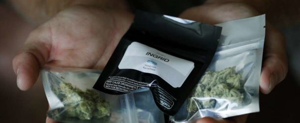 Legal Medical Marijuana Delivery Arrives in San Jose