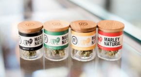 Marley Natural Premium Cannabis Products Launch In Washington
