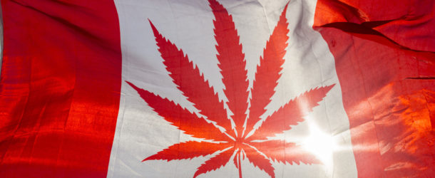 Canada Introduces Legislation to Allow Recreational Use of Marijuana
