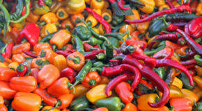To Calm Stomach Issues, Look to Marijuana and Hot Peppers