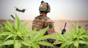 A Medical Marijuana Trial For Soldiers With PTSD Just Got Government Approval