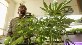 New Marijuana Equity Program Is Aimed At Encouraging Greater Participation By African Americans