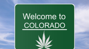Marijuana Revenue Will Fund Schools and Drug Abuse Programs in Colorado