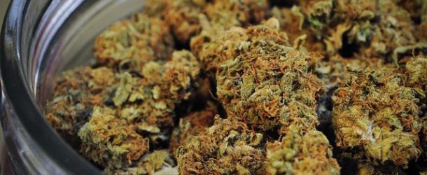 Volunteers In Washington Can Get Paid to Smoke Marijuana… For Science