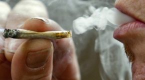 Study Reveals Marijuana Does Not Decrease Lung Function but Increases It