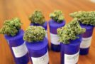 Utah Medical Cannabis Initiative Moves Forward Towards 2018 Ballot