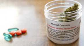 HelloMD Patient Base Prefers Medical Cannabis to Opioids for Managing Chronic Pain