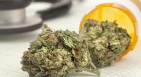 Rejecting Sessions’ Plea, Senate Panel Votes to Protect Medical Marijuana