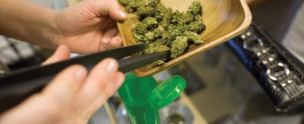 Florida Adds 1000 Medical Marijuana Patients Since June