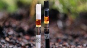 Nearly Half Of People Who Use Cannabidiol Products Stop Taking Traditional Medicines