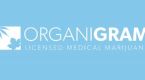Organigram Launches Company’s First Pure CBD Cannabis Oil