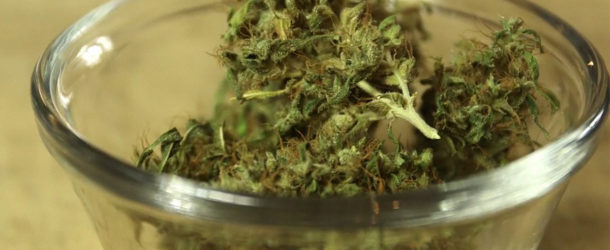 Why Eating Weed Is Actually Good for Your Health