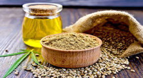 What is the Difference Between CBD Oil, Hemp Seed Oil, and Cannabis Oil?