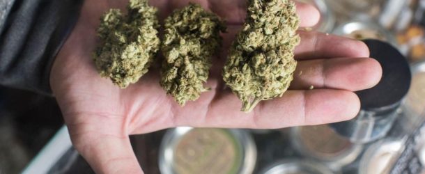 New Jersey Wants To Expand Medical Marijuana Program To Treat Opioid Addiction